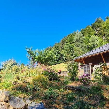 Chambre D'Hotes L'Aire Du Temps Savoyard Ugine Bagian luar foto